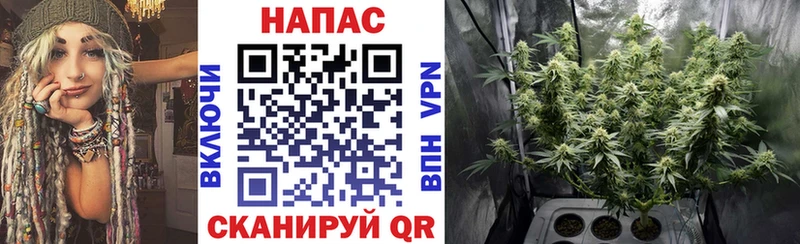 Что такое Боготол Cocaine  Псилоцибиновые грибы  Гашиш  Канабис  Мефедрон  Альфа ПВП  АМФ 