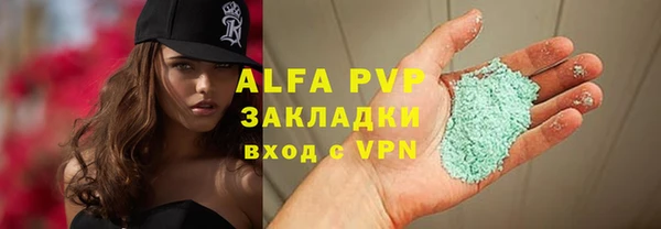 индика Алзамай