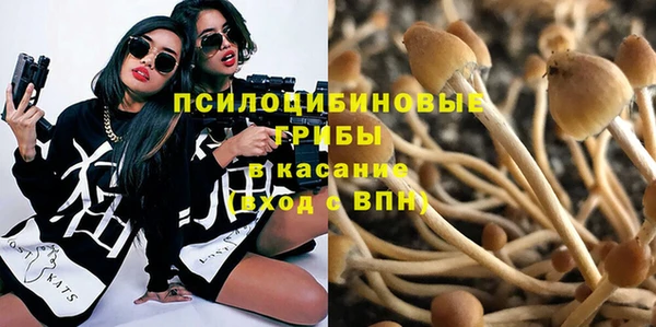 круглые Алексин