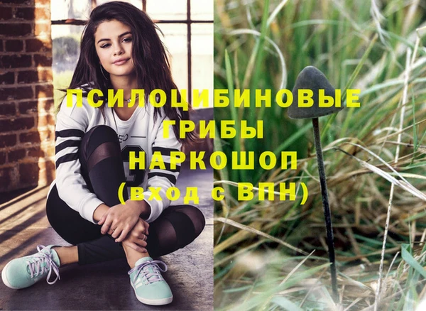 spice Алексеевка