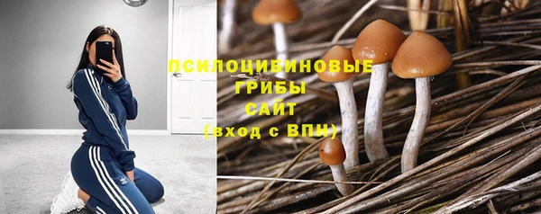 индика Алзамай