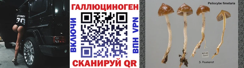 сайты даркнета официальный сайт  Боготол  Псилоцибиновые грибы ЛСД  ссылка на мегу ссылка 